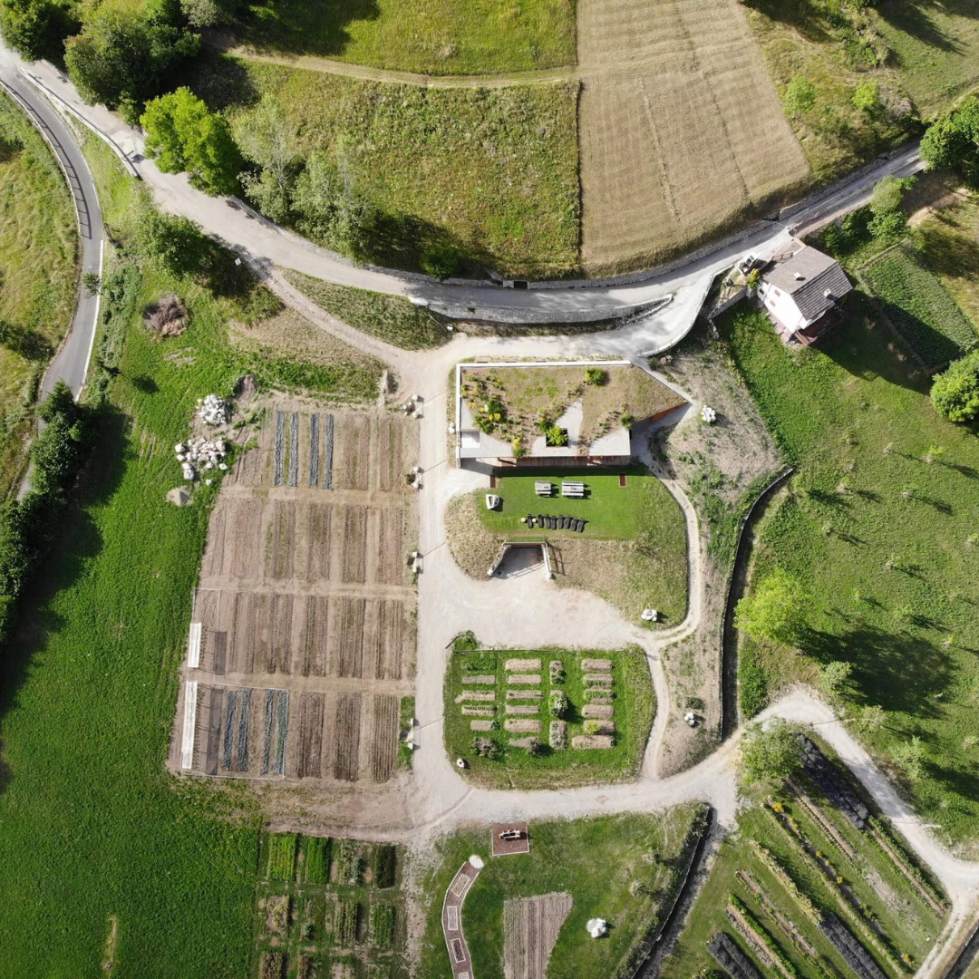 Azienda Agricola Il Ritorno