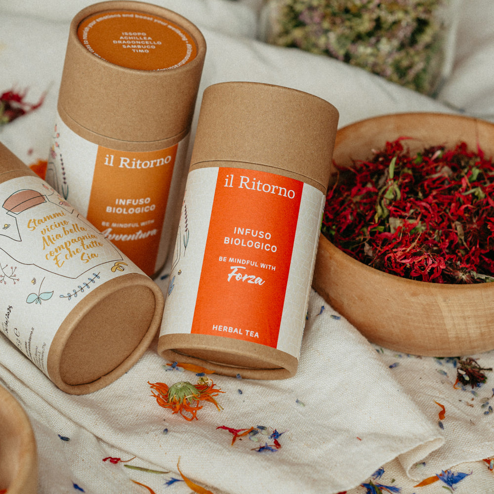 Infuso BIO Forza 25g - Rigenerante
