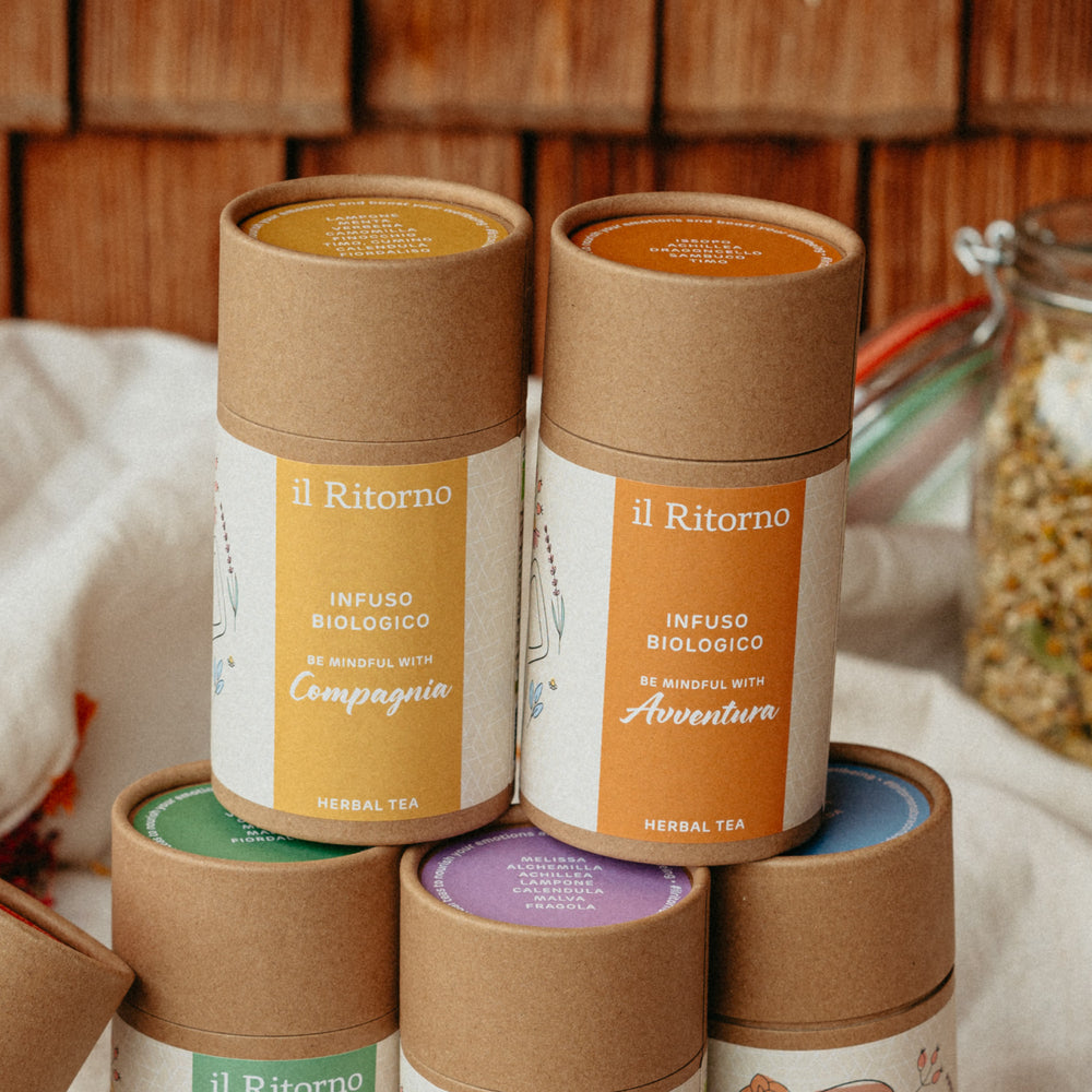 
                      
                        Infuso BIO Avventura 25g - Detox
                      
                    