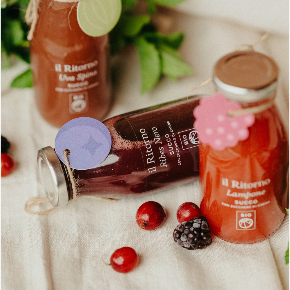 
                      
                        Succo BIO Ribes Nero 250ml
                      
                    
