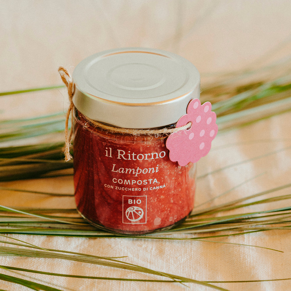 Composta BIO Lamponi 220g